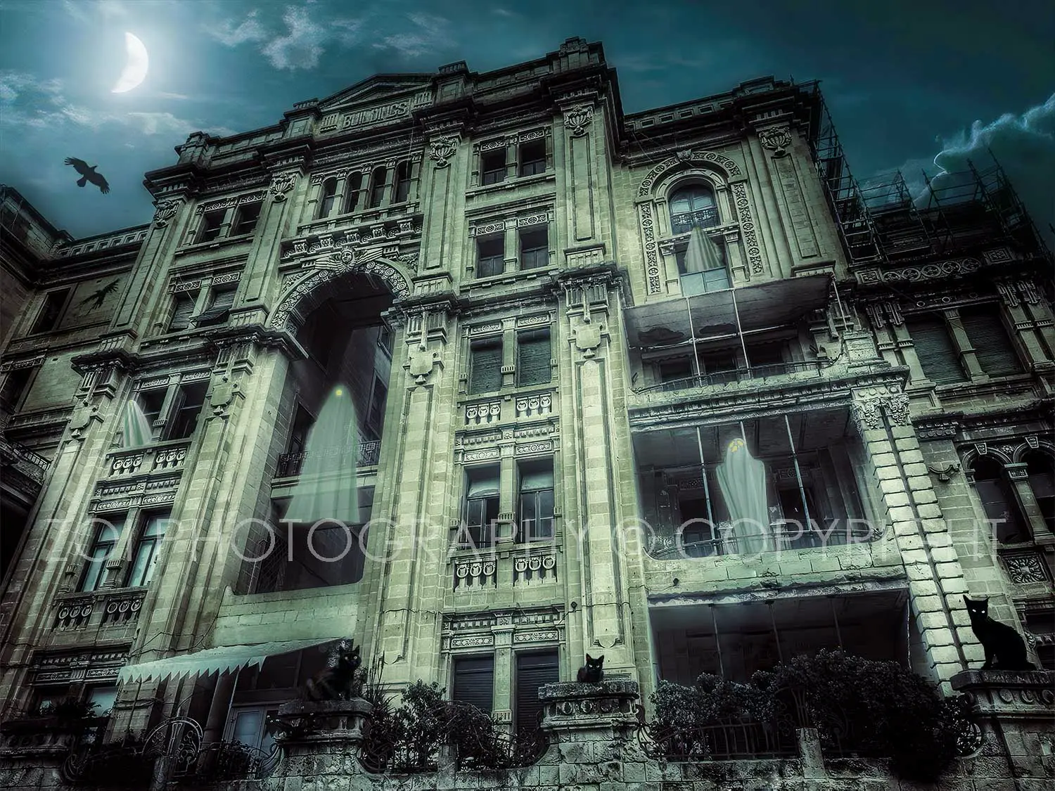 dea donna - zoi marco