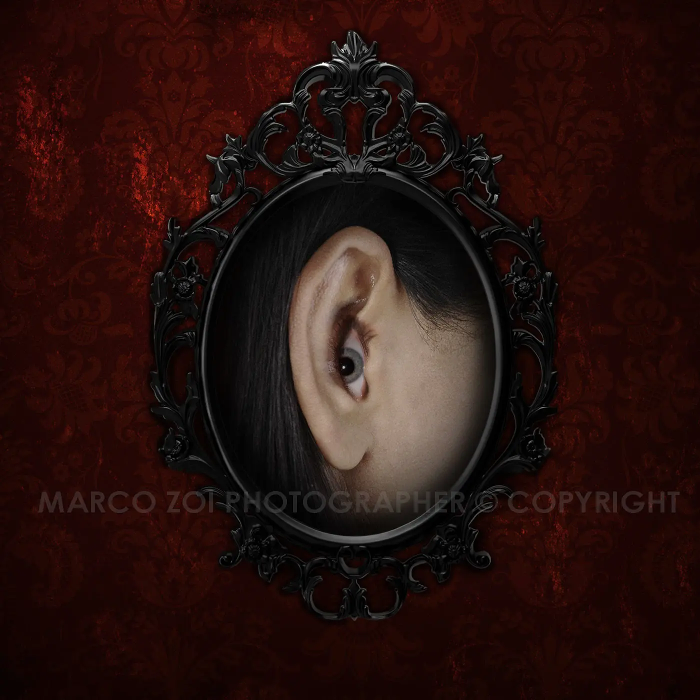 sguardi sonori- zoi marco